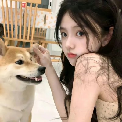 森林的精灵